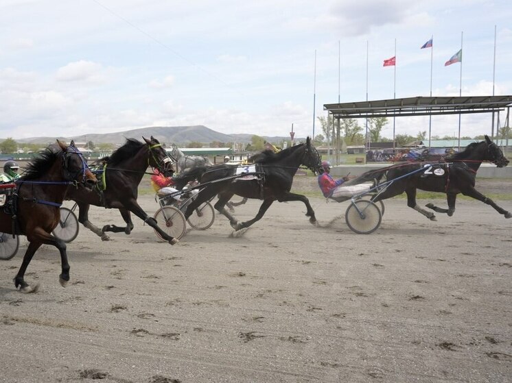 Именитые конники открыли 93-й беговой сезона на хакасском ипподроме