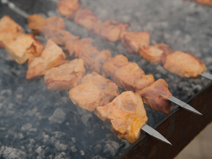 Волгоградцам объяснили, как сделать шашлык более безопасным для ЖКТ