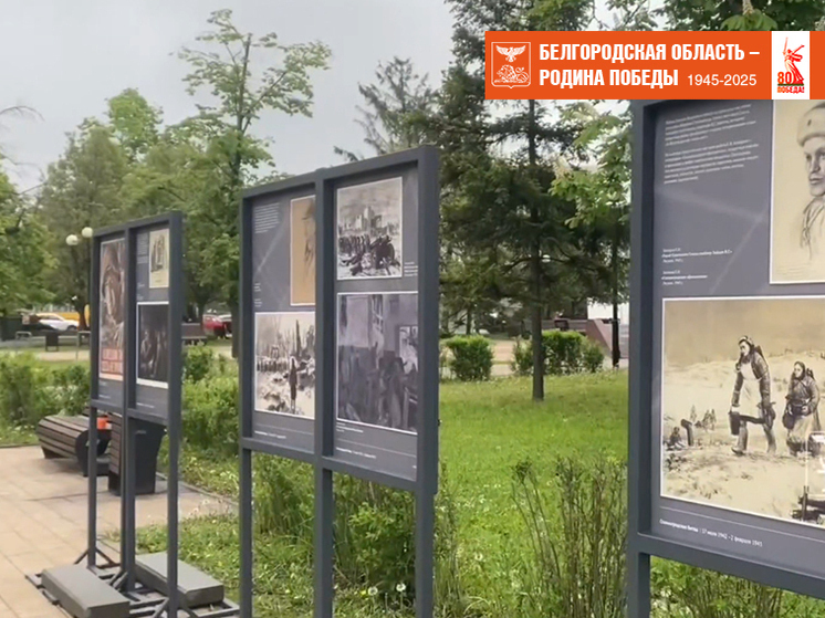 В Белгороде открылась выставка с уникальными работами из Музея Победы