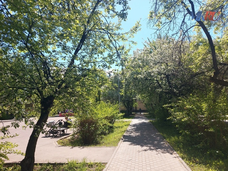 Калужские синоптики обещают относительно тёплый день