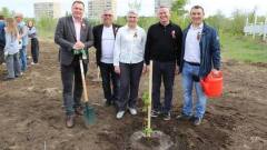 В парке посёлка Энергетик появилась новая зелёная зона