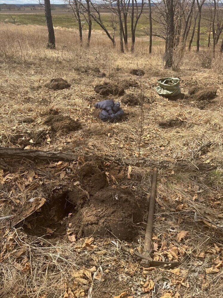 Двух туристов поймали за сбором краснокнижных растений в Амурской области