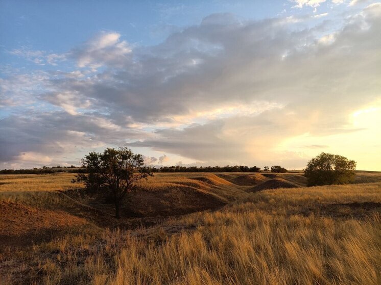 Магнитная буря 8 мая 2025 года: ждать ли мощных вспышек на Солнце