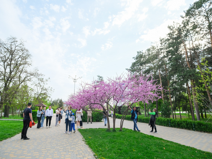 В Волгоградской области 8 мая ожидаются дожди при +27 градусах