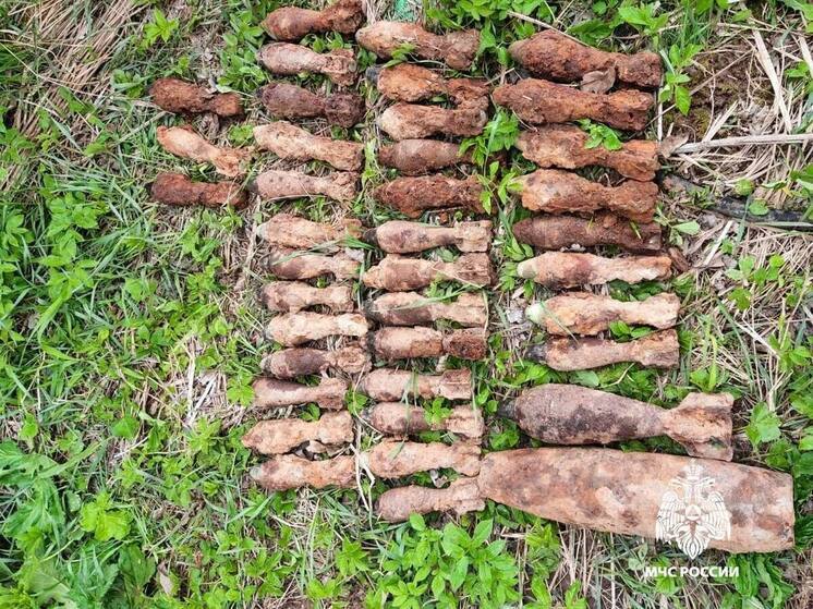 Снаряды времен Великой Отечественной войны нашли в Тверской области
