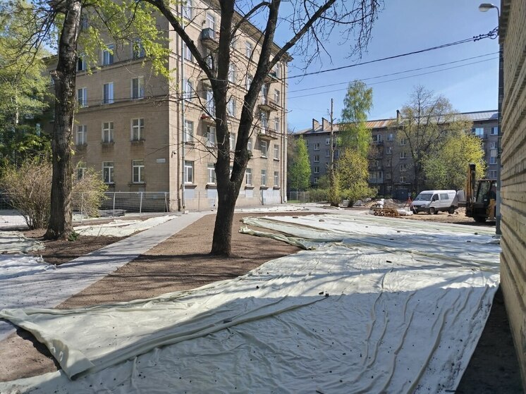 Назвали МО Петербурга, которые не получат субсидии из-за провала в благоустройстве