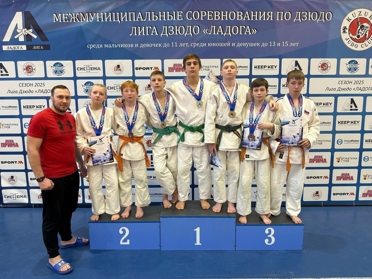 Юные сосновоборские дзюдоисты завоевали медали на соревнованиях