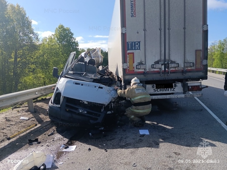 Scania разнесла Ford Transit в Жиздринском районе