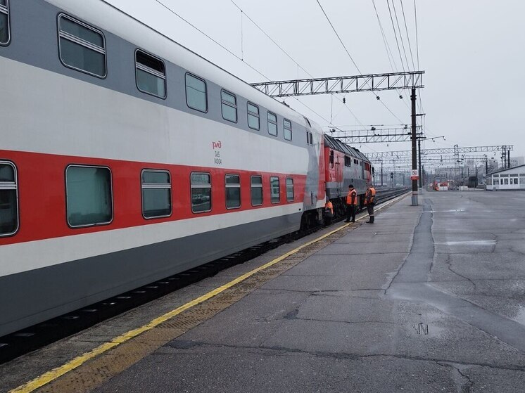 Минтранс и РЖД добавили новые места в поездах из Петербурга