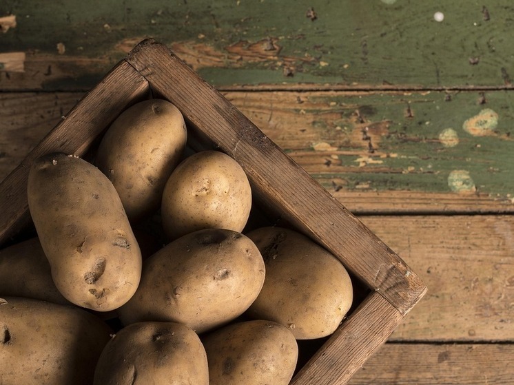 Лукашенко пообещал, что белорусы не останутся без картофеля