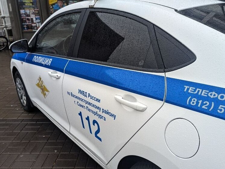 Полиция поймала подозреваемого в жестоком избиении на Меншиковском петербуржца