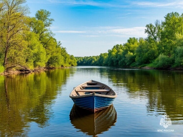 12 правонарушений на водных объектах зафиксировали в Псковской области