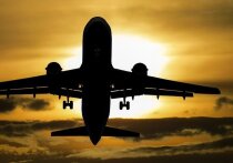 Генконсул России в Анталье Сергей Ветрик сказал, что компания Turkish Airlines размещает пассажиров-россиян с билетами на отмененные рейсы в гостиницах, сообщает ТАСС