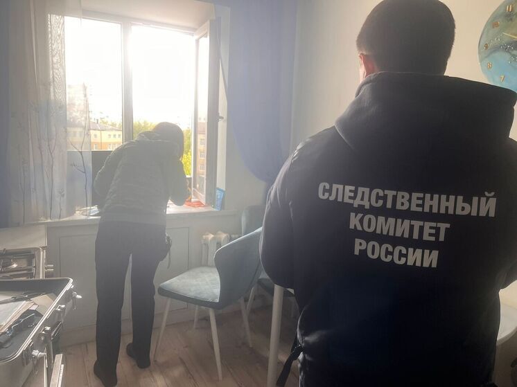 В Туле следователи выяснят детали смертельного падения девочки из окна