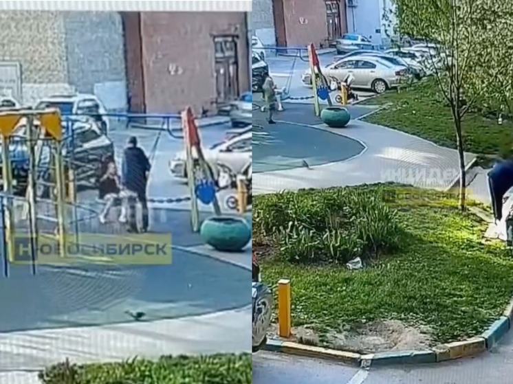 В Новосибирске мужчина напал с топором на женщину с ребенком