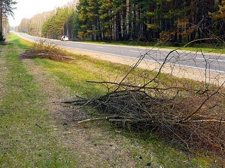 Для решения транспортных проблем Правительство Чувашии открывает инциденты