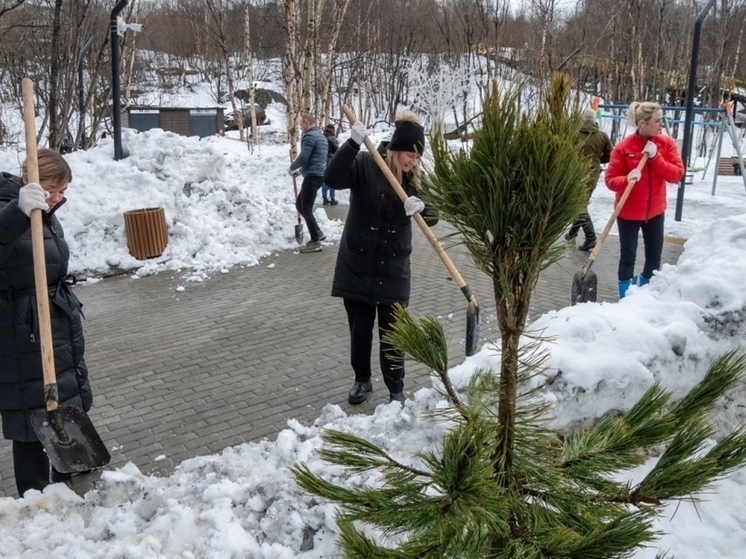 На субботнике в Мурманске привели в порядок 15 мест города