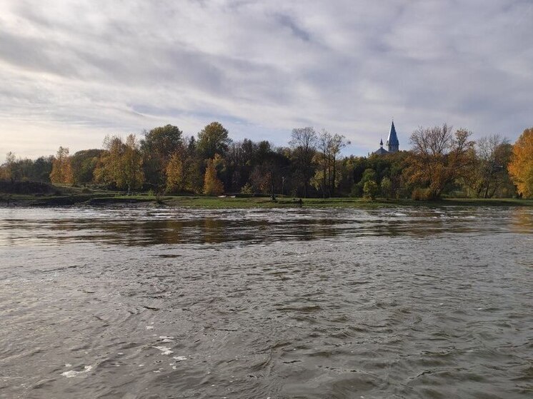 Подготовка концерта в Ивангороде вызвала повышенный интерес у эстонских СМИ