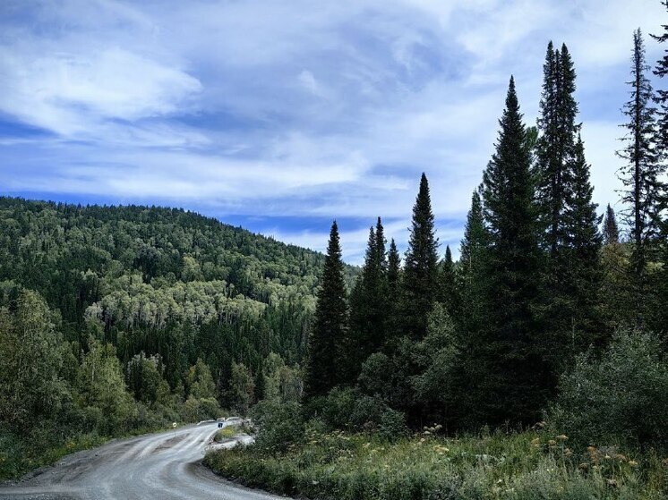 Фотоловушки в лесах Хакасии помогут поймать нарушителей противопожарного режима