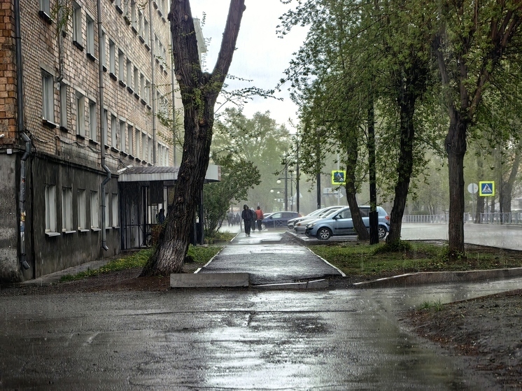 Хакасию накроют штормовой ветер, дожди и жара