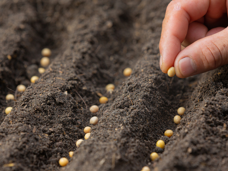 В Башкирии, несмотря на заморозки, ведут полевые работы