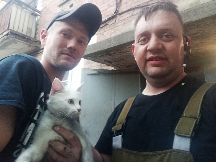 Воронежские представители ВСКС спасли котенка, забравшегося на высоту 5-этажного дома