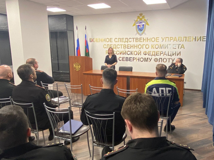В Североморске ГИБДД и силовики объединились ради безопасности на дорогах