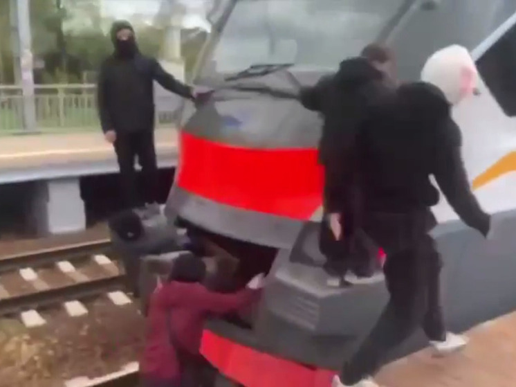 Группу зацеперов заметили на крыше электрички в Дмитровском округе