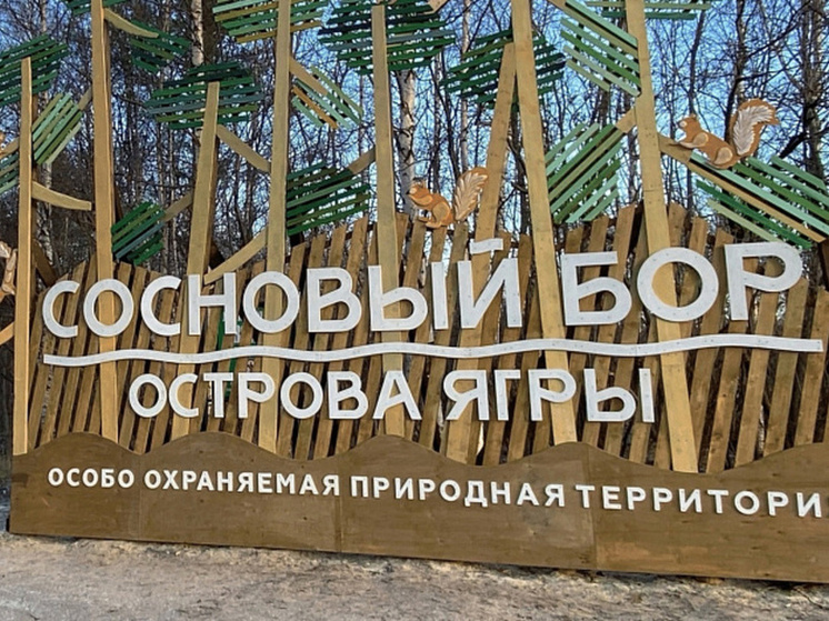 Мангалы под запретом: в Ягринском бору продолжаются рейды