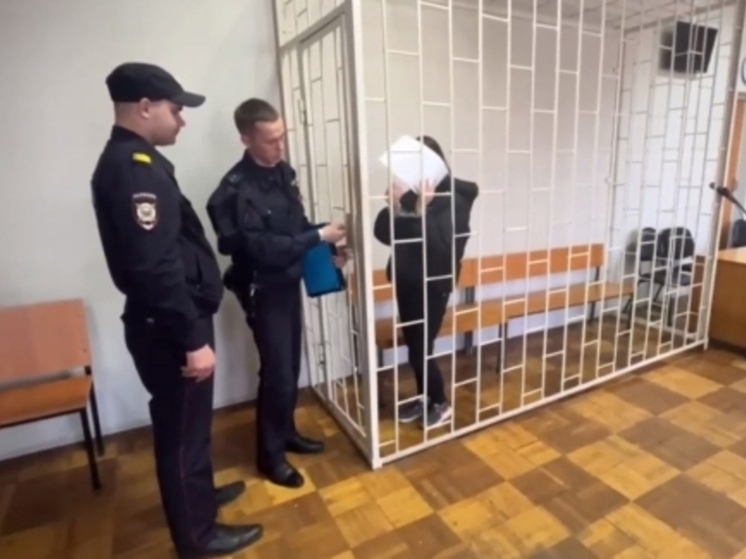 19-летнюю нижегородку поймали в Воронеже и заключили под стражу