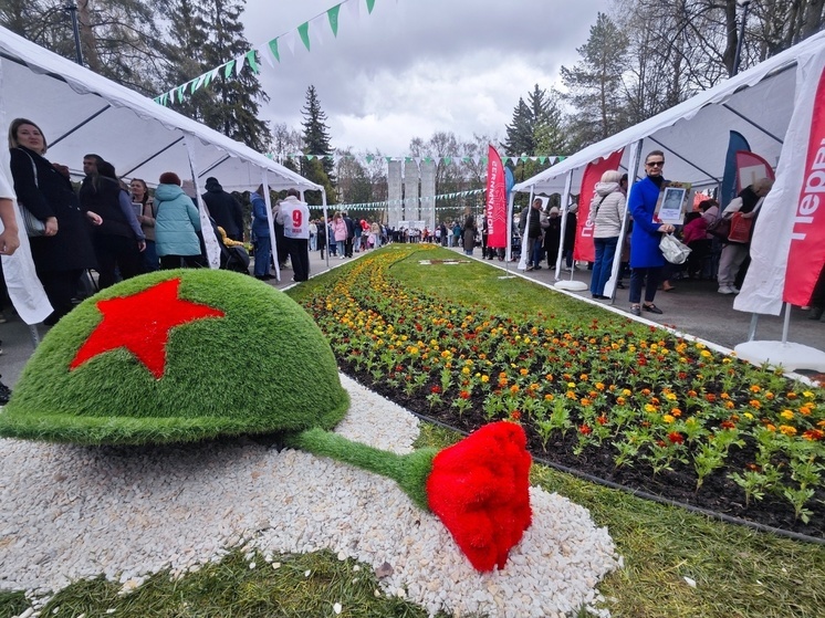 Кировский сквер Вологды украсили топиарной фигурой ко Дню Победы