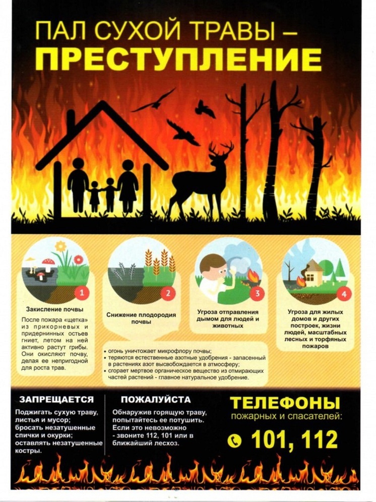 Правила пожарной безопасности: профилактика палов сухой травы