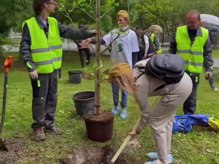 Жители Хостинского района Сочи поучаствовали в акции «Сад памяти»