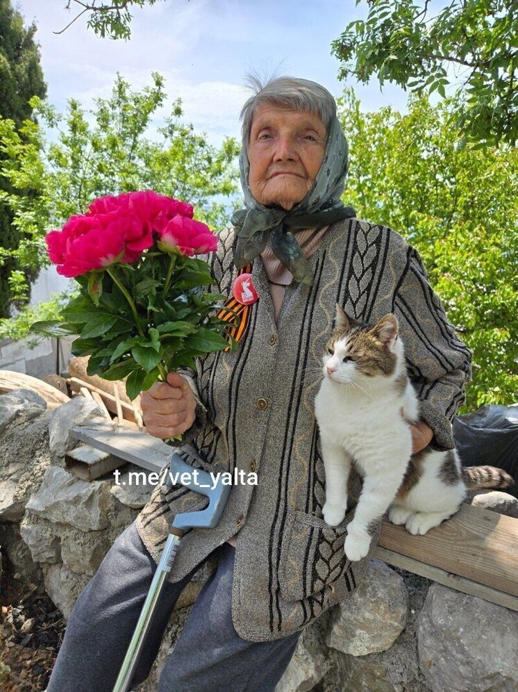 Кошка Муся из «Ласточкина гнезда» поздравила с Днем Победы