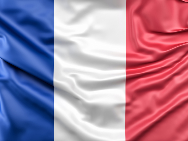 Франция направит доходы от замороженных активов РФ на обслуживание гаубиц Caesar