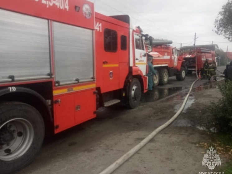 В одном из сел Алтайского края произошел пожар