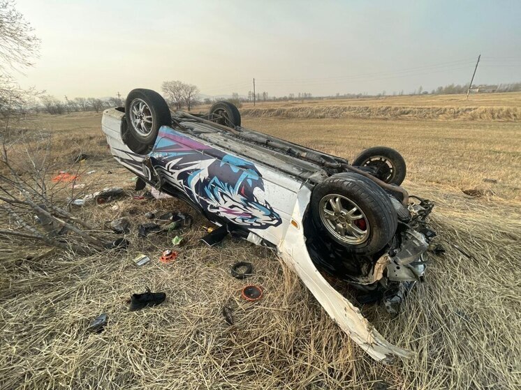Девушка погибла во влетевшей в дерево Toyota в Краснокаменске