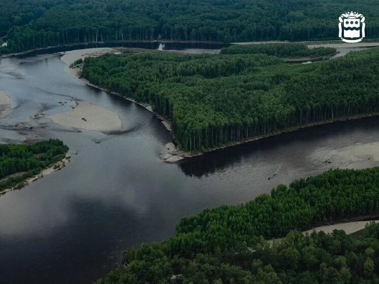 В Амурской области начался лесокультурный сезон