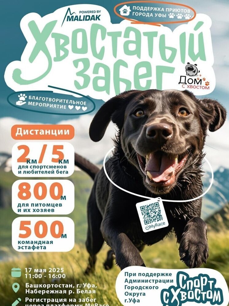 В Уфе 17 мая пройдет «Хвостатый забег»