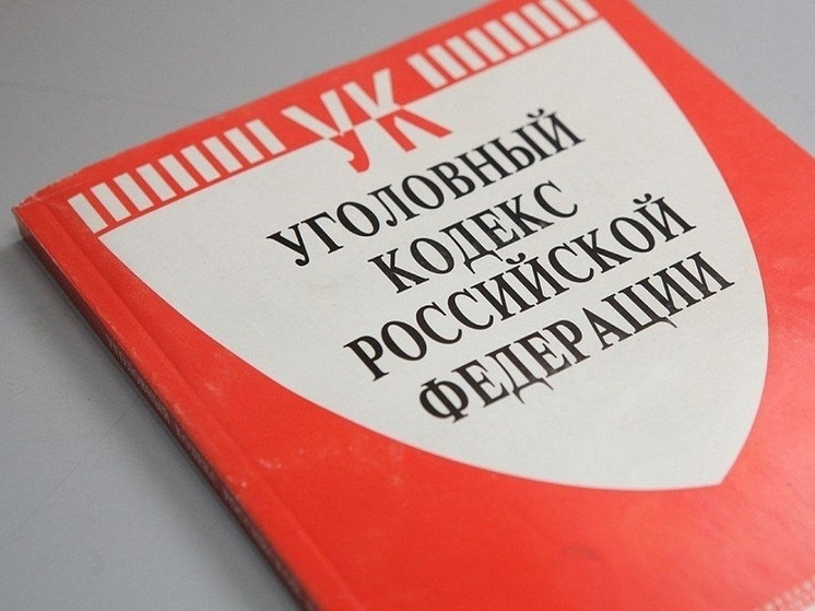Двое иностранцев пребывали в Липецкой области по подложным документам