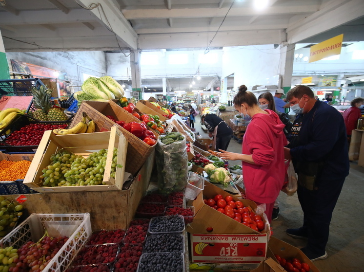 Волгоградцам объяснили правила выращивания лимонов на подоконнике