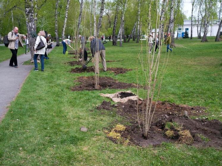 На Южном Урале заложили кедровую аллею в память о лётчиках-героях