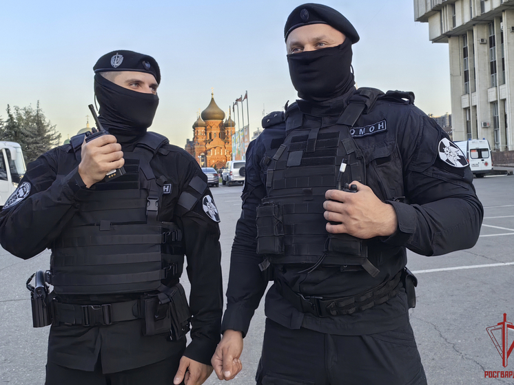 Росгвардия помогла обеспечить порядок в Туле в День Победы