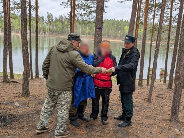 В Чувашии усилили профилактику лесных пожаров: рейды и напоминания отдыхающим