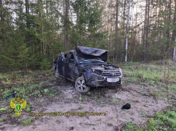 Костромские трагедии: в Мантуровском районе в ДТП погибла автоледи