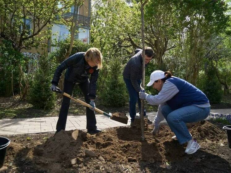 В Светлогорске обустроили «Сад памяти» в честь героев-лётчиков ВОВ