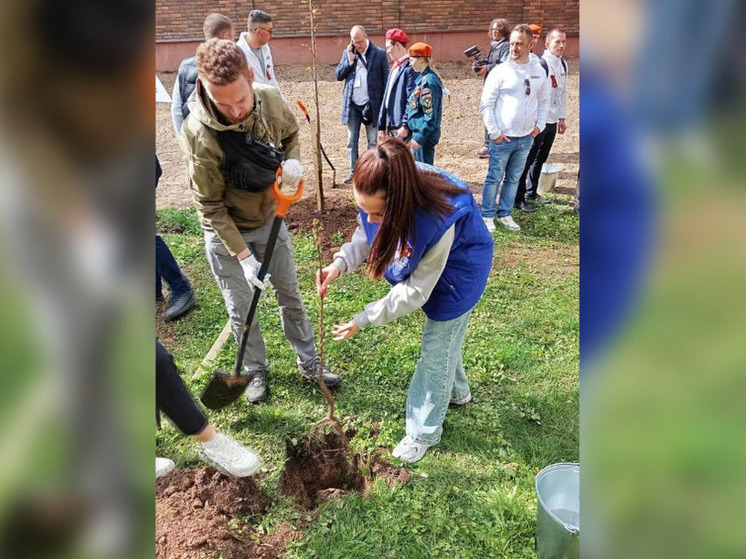 Новороссийские деревья высадили в Смоленске и Бресте