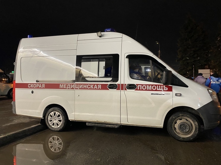 Двое взрослых и ребёнок пострадали во время ночного пожара в Рязани