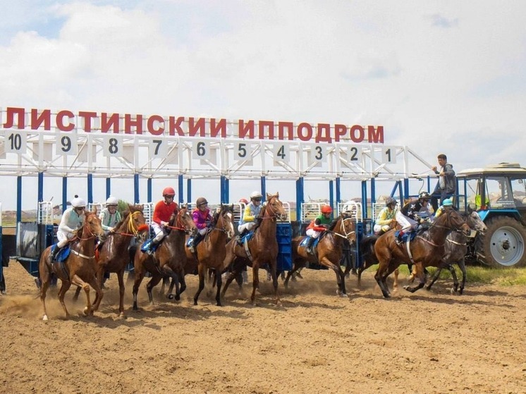Конноспортивные состязания в Элисте: праздник силы духа