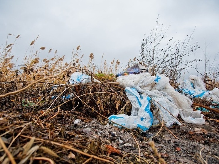 Волгоградцам за сжигание отходов на дачных участках грозит штраф
